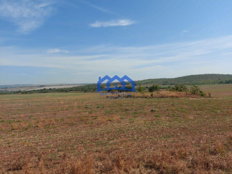 Sitio/Fazenda à Venda, 2.306 hectares por R$ 150.000.000 Cód. ch2276