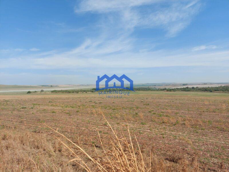 Sitio/Fazenda à Venda, 2.306 hectares por R$ 150.000.000 Cód. ch2276