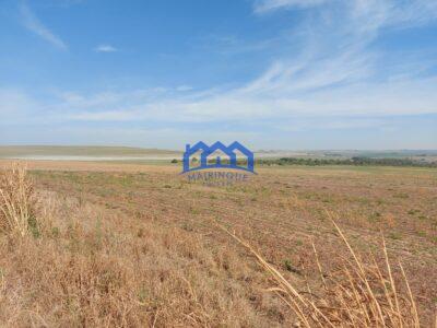 Sitio/Fazenda à Venda, 2.306 hectares por R$ 150.000.000 Cód. ch2276