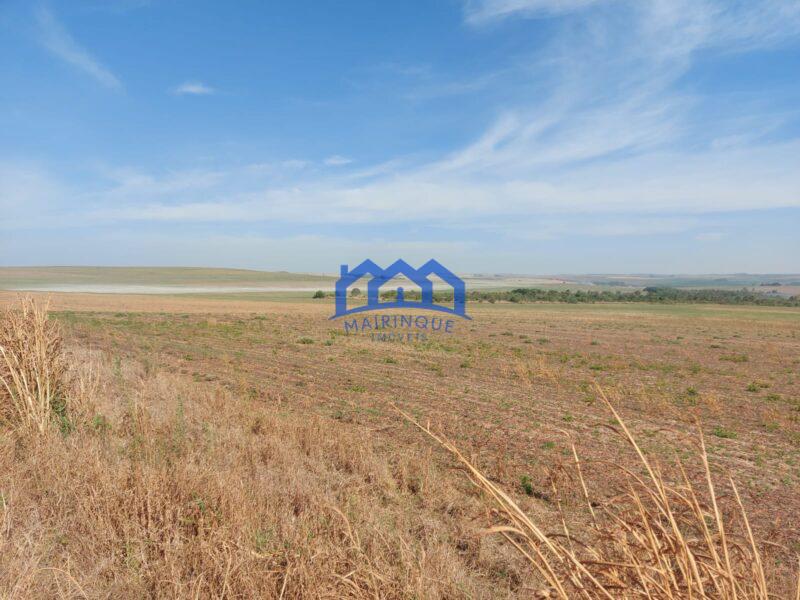 Sitio/Fazenda à Venda, 2.306 hectares por R$ 150.000.000 Cód. ch2276