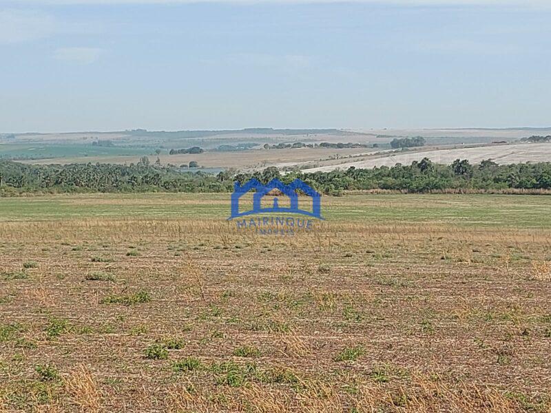 Sitio/Fazenda à Venda, 2.306 hectares por R$ 150.000.000 Cód. ch2276