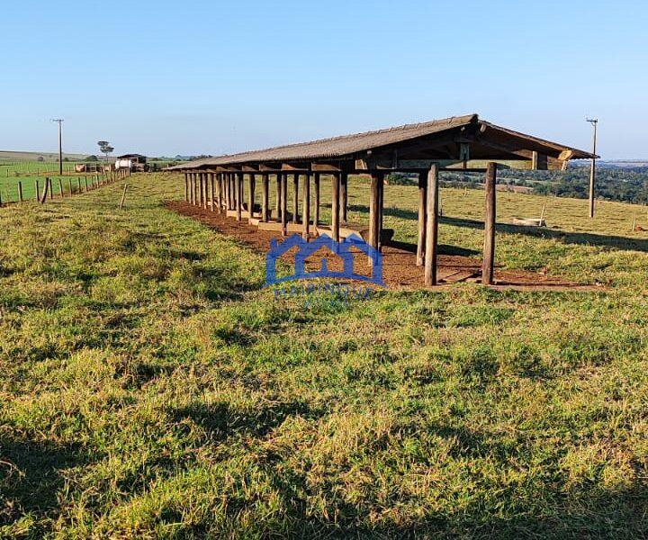 Sitio/Fazenda à Venda, 37 alqueires por R$ 12.000.000 Cód. ch2279