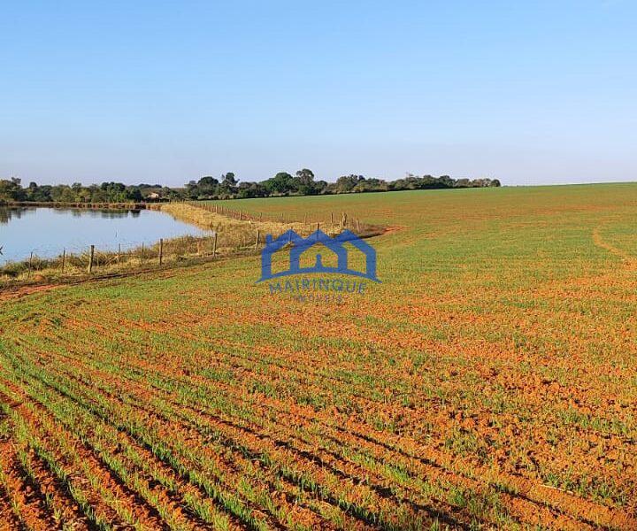 Sitio/Fazenda à Venda, 37 alqueires por R$ 12.000.000 Cód. ch2279