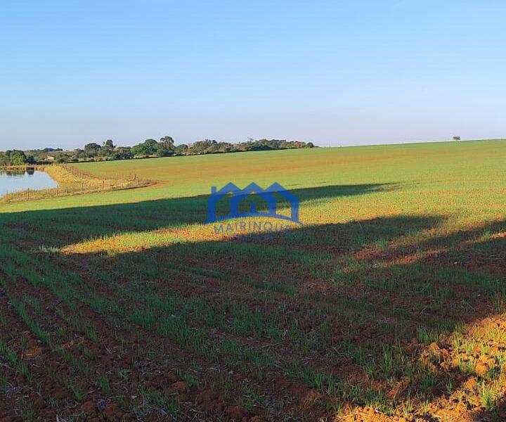 Sitio/Fazenda à Venda, 37 alqueires por R$ 12.000.000 Cód. ch2279