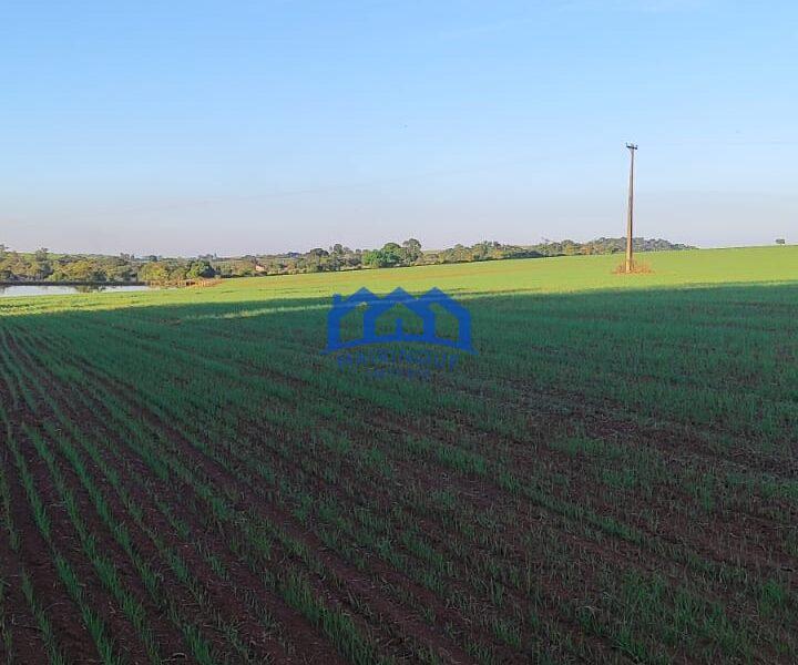 Sitio/Fazenda à Venda, 37 alqueires por R$ 12.000.000 Cód. ch2279