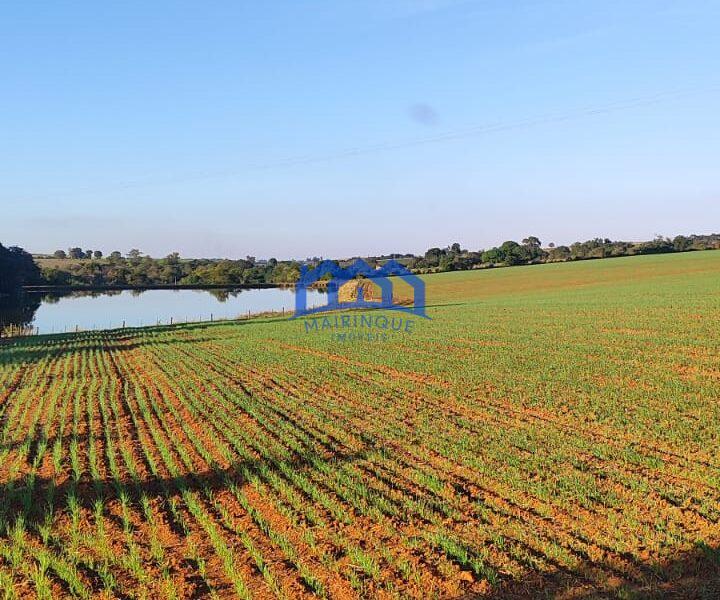 Sitio/Fazenda à Venda, 37 alqueires por R$ 12.000.000 Cód. ch2279