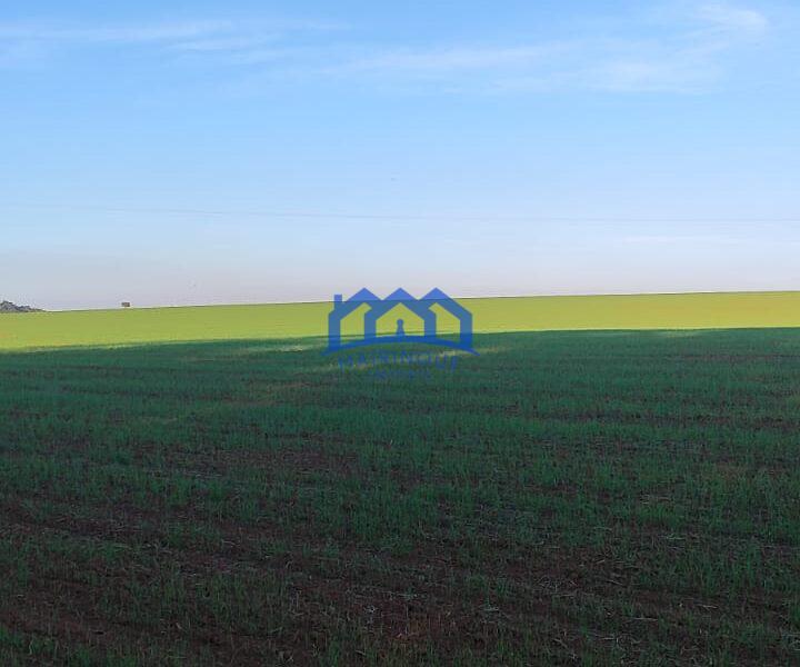 Sitio/Fazenda à Venda, 37 alqueires por R$ 12.000.000 Cód. ch2279
