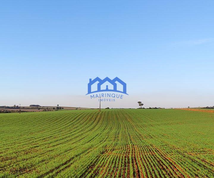 Sitio/Fazenda à Venda, 37 alqueires por R$ 12.000.000 Cód. ch2279