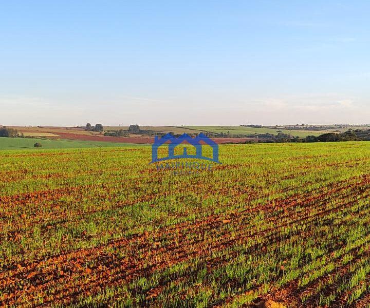 Sitio/Fazenda à Venda, 37 alqueires por R$ 12.000.000 Cód. ch2279