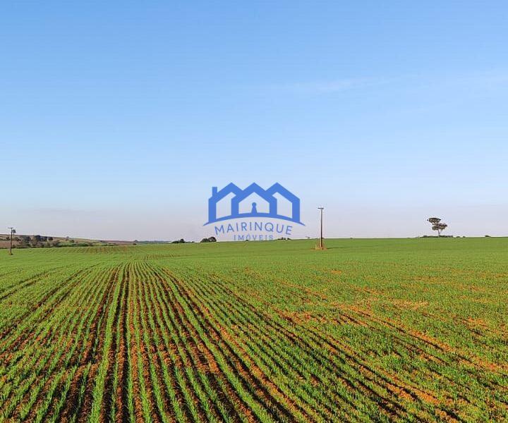 Sitio/Fazenda à Venda, 37 alqueires por R$ 12.000.000 Cód. ch2279