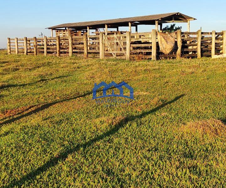 Sitio/Fazenda à Venda, 37 alqueires por R$ 12.000.000 Cód. ch2279