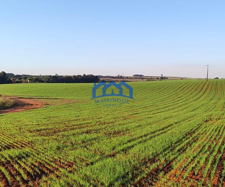 Sitio/Fazenda à Venda, 37 alqueires por R$ 12.000.000 Cód. ch2279
