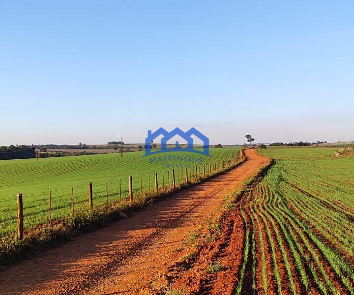 Sitio/Fazenda à Venda, 37 alqueires por R$ 12.000.000 Cód. ch2279