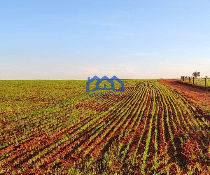 Sitio/Fazenda à Venda, 37 alqueires por R$ 12.000.000 Cód. ch2279