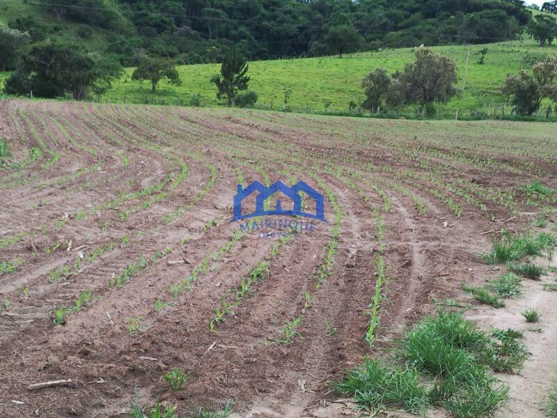 Sítio/Fazenda à Venda, 13,6 Alqueires por R$ 2.176.000 Cód. ch2281