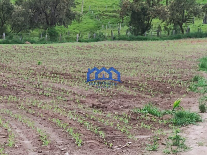Sítio/Fazenda à Venda, 13,6 Alqueires por R$ 2.176.000 Cód. ch2281