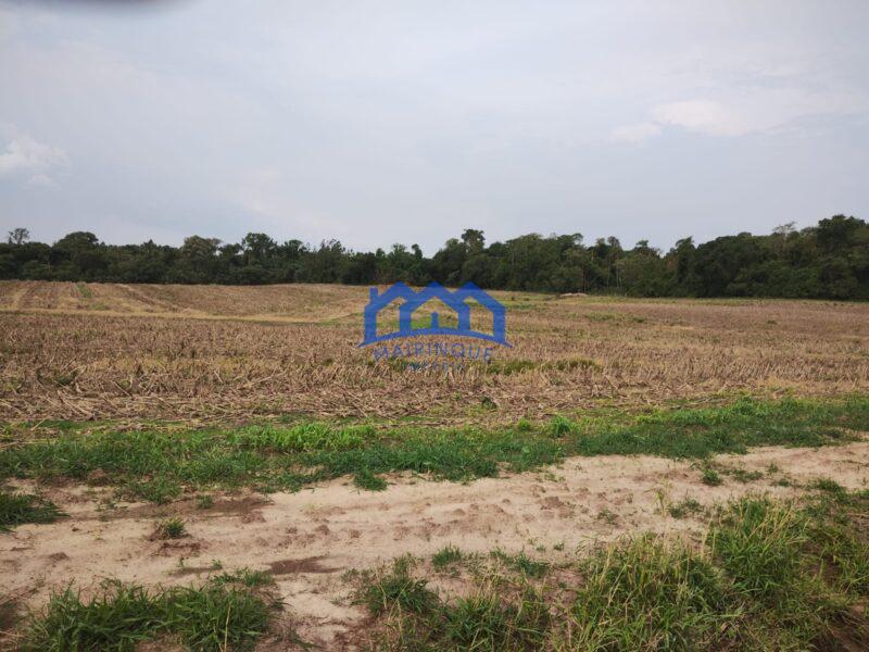 Sítio/Fazenda à Venda, 13,6 Alqueires por R$ 2.176.000 Cód. ch2281