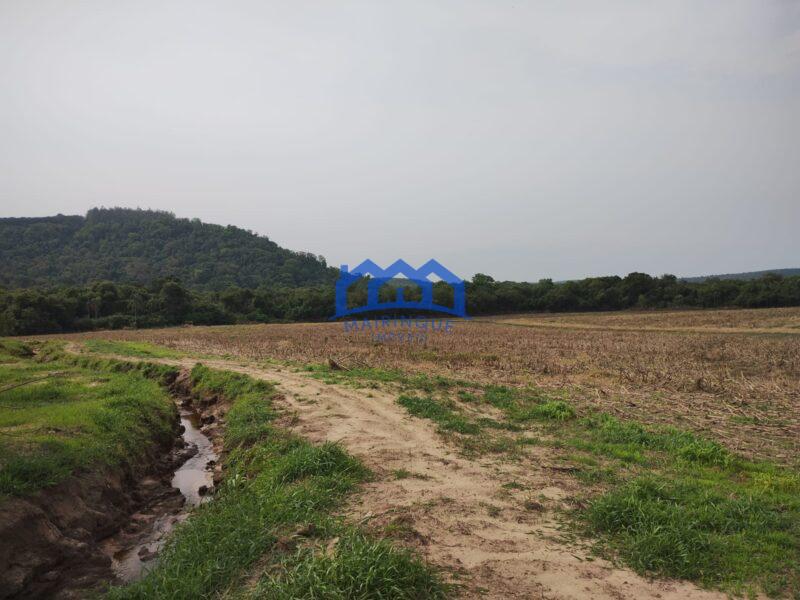 Sítio/Fazenda à Venda, 13,6 Alqueires por R$ 2.176.000 Cód. ch2281