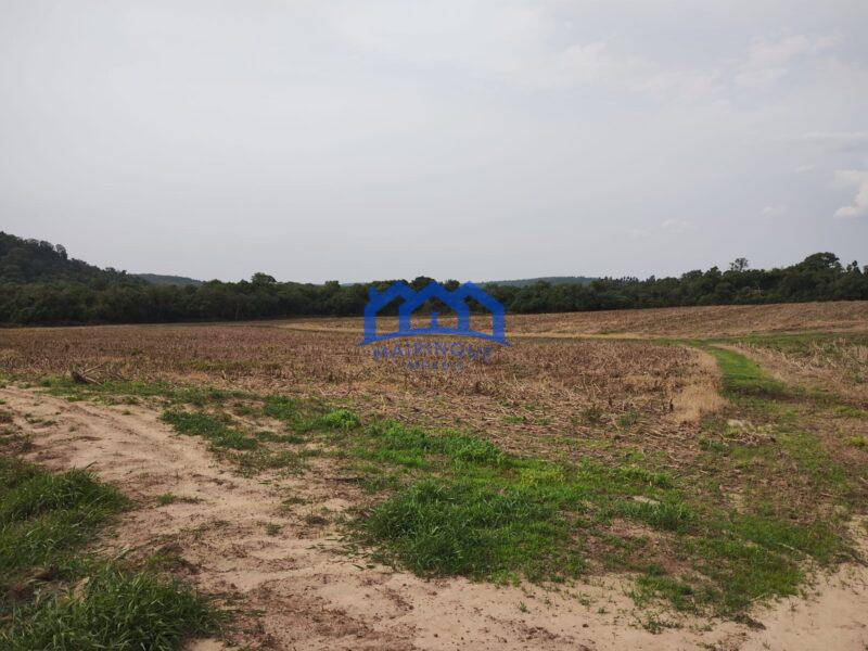 Sítio/Fazenda à Venda, 13,6 Alqueires por R$ 2.176.000 Cód. ch2281