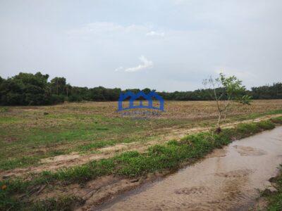 Sítio/Fazenda à Venda, 13,6 Alqueires por R$ 2.176.000 Cód. ch2281