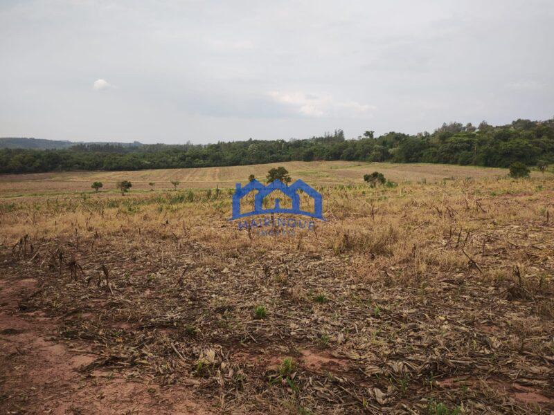 Sítio/Fazenda à Venda, 13,6 Alqueires por R$ 2.176.000 Cód. ch2281