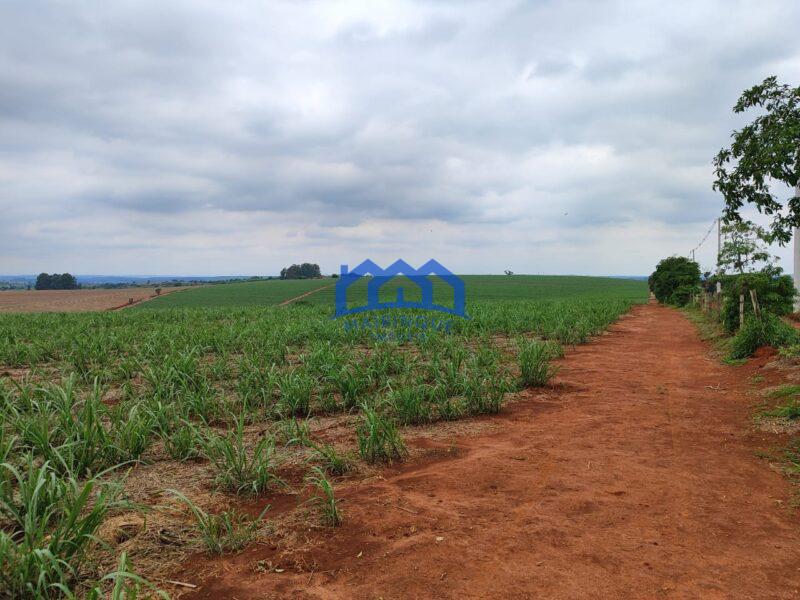 Sitio/Fazenda à Venda, 42 alqueires por R$ 12.600.000 Cód. ch2282