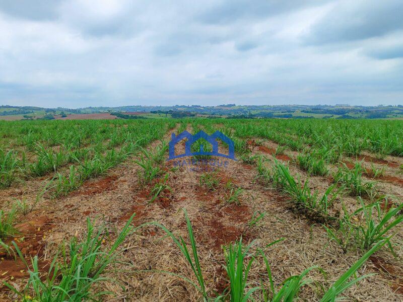 Sitio/Fazenda à Venda, 42 alqueires por R$ 12.600.000 Cód. ch2282