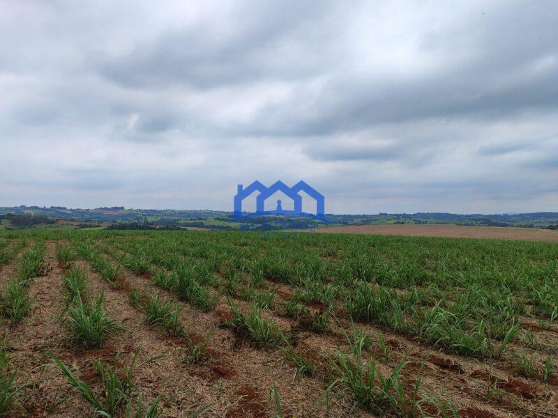 Sitio/Fazenda à Venda, 42 alqueires por R$ 12.600.000 Cód. ch2282