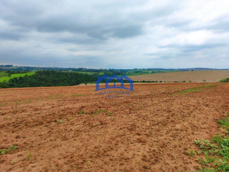 Sitio/Fazenda à Venda, 42 alqueires por R$ 12.600.000 Cód. ch2282