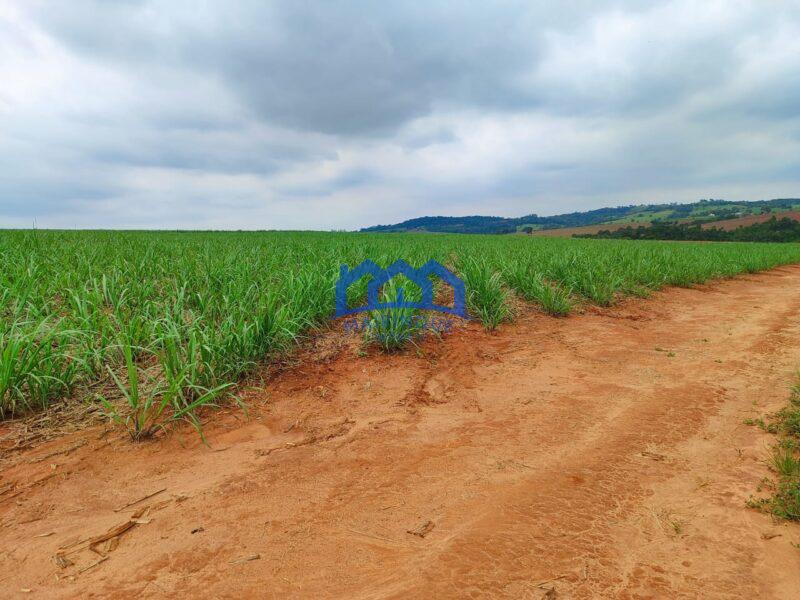 Sitio/Fazenda à Venda, 42 alqueires por R$ 12.600.000 Cód. ch2282