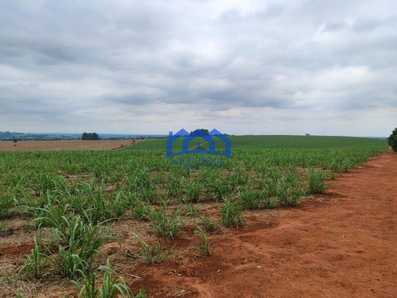 Sitio/Fazenda à Venda, 42 alqueires por R$ 12.600.000 Cód. ch2282