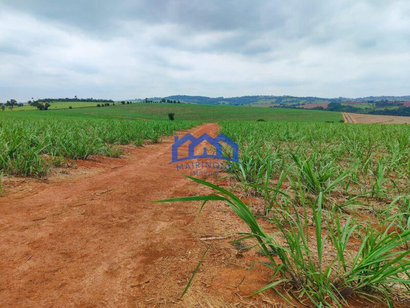 Sitio/Fazenda à Venda, 42 alqueires por R$ 12.600.000 Cód. ch2282