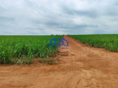 Sitio/Fazenda à Venda, 42 alqueires por R$ 12.600.000 Cód. ch2282
