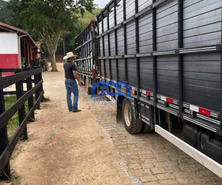 Sitio/Fazenda à Venda, 330 alqueires por R$ 35.000.000 Cód. ch2286