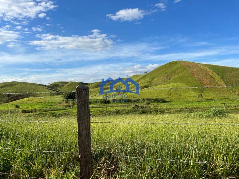 Sitio/Fazenda à Venda, 330 alqueires por R$ 35.000.000 Cód. ch2286