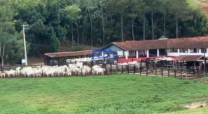 Sitio/Fazenda à Venda, 330 alqueires por R$ 35.000.000 Cód. ch2286