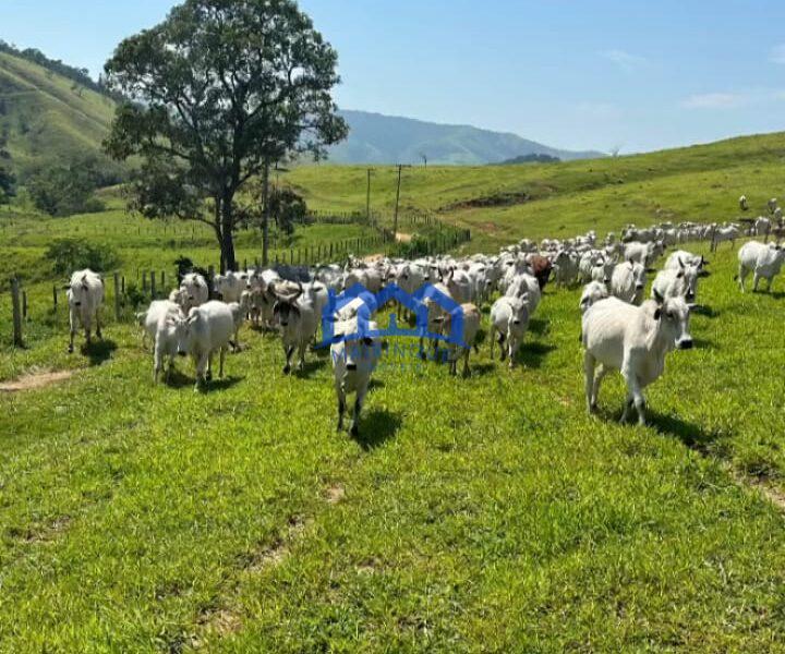 Sitio/Fazenda à Venda, 330 alqueires por R$ 35.000.000 Cód. ch2286