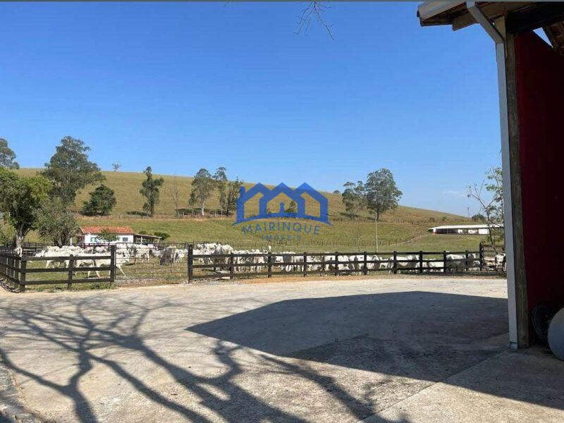 Sitio/Fazenda à Venda, 330 alqueires por R$ 35.000.000 Cód. ch2286