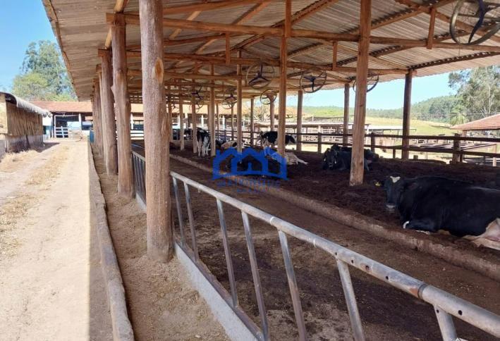 Sitio/Fazenda à Venda, 330 alqueires por R$ 35.000.000 Cód. ch2286