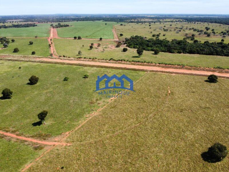 Sitio/Fazendo à Venda, 876 alqueires por R$ 100.000.000 Cód. ch2291