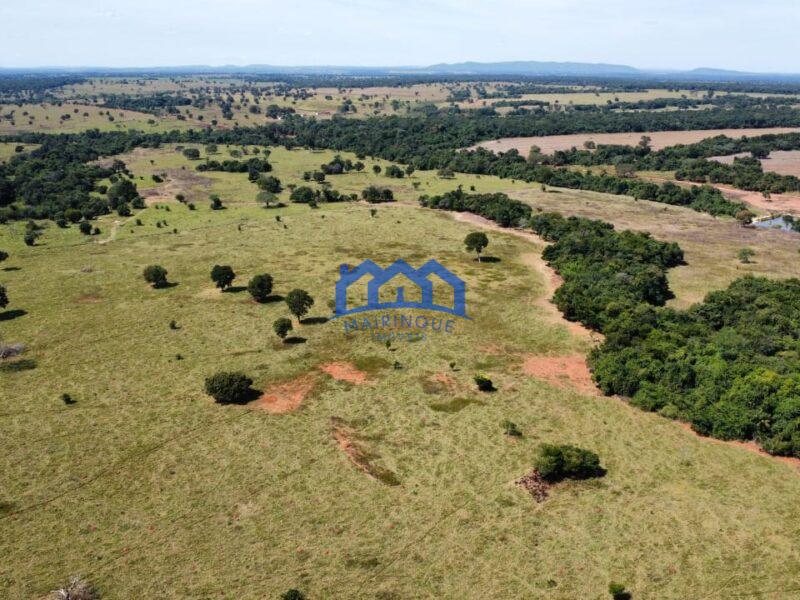 Sitio/Fazendo à Venda, 876 alqueires por R$ 100.000.000 Cód. ch2291
