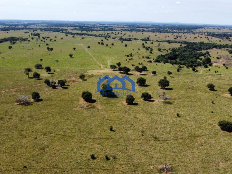Sitio/Fazendo à Venda, 876 alqueires por R$ 100.000.000 Cód. ch2291