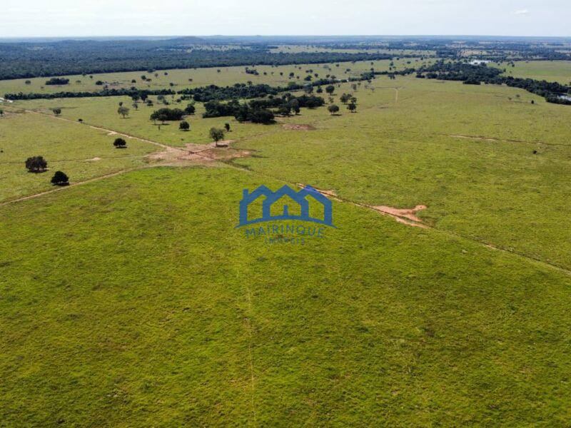 Sitio/Fazendo à Venda, 876 alqueires por R$ 100.000.000 Cód. ch2291