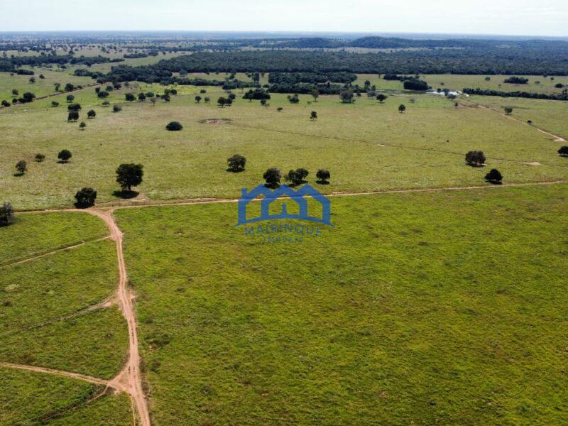 Sitio/Fazendo à Venda, 876 alqueires por R$ 100.000.000 Cód. ch2291