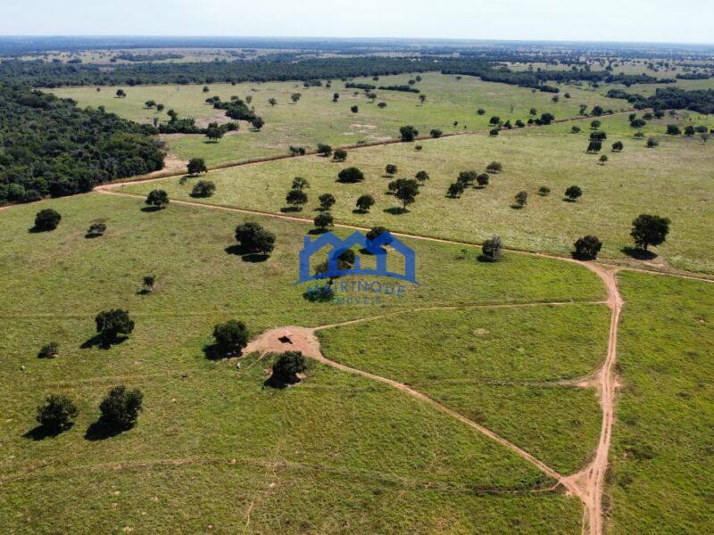 Sitio/Fazendo à Venda, 876 alqueires por R$ 100.000.000 Cód. ch2291