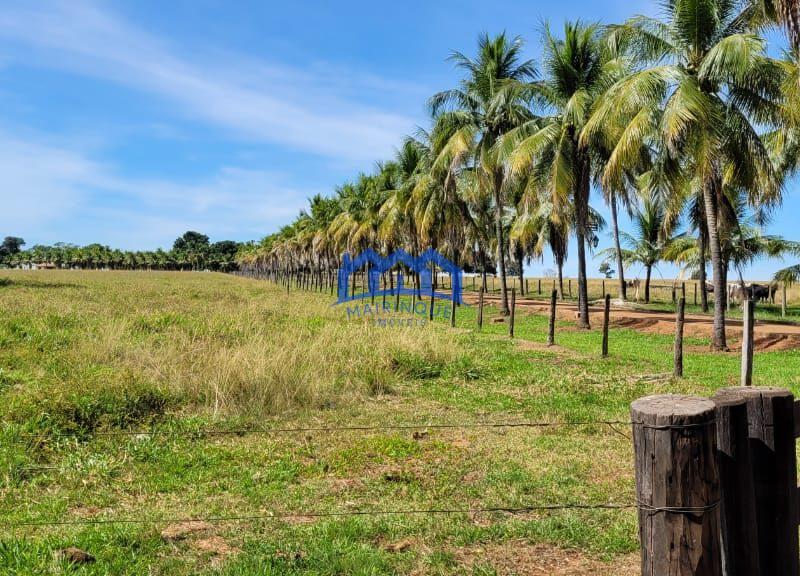 Sitio/Fazendo à Venda, 876 alqueires por R$ 100.000.000 Cód. ch2291
