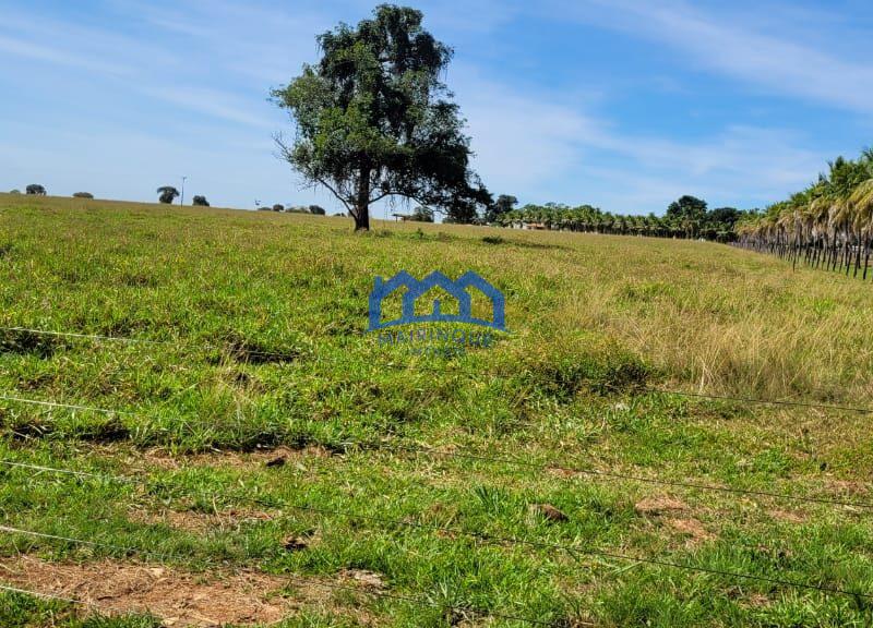 Sitio/Fazendo à Venda, 876 alqueires por R$ 100.000.000 Cód. ch2291