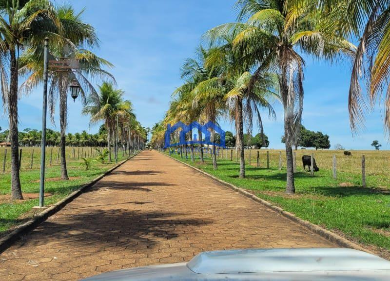 Sitio/Fazendo à Venda, 876 alqueires por R$ 100.000.000 Cód. ch2291