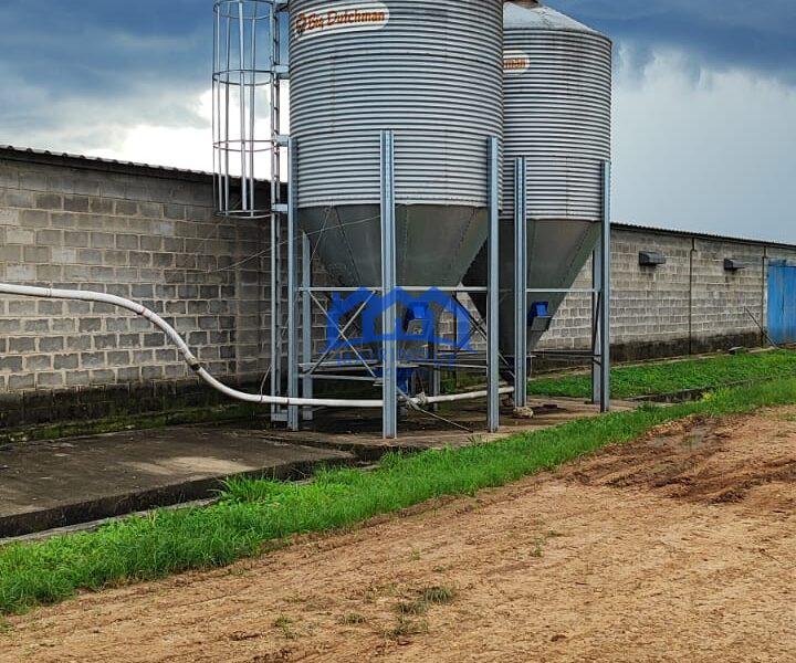 Sitio/Fazenda à Venda, granja com 12 alqueires por R$ 8.000.000 Cód. ch2292