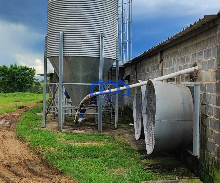 Sitio/Fazenda à Venda, granja com 12 alqueires por R$ 8.000.000 Cód. ch2292
